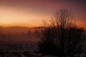 sunset_foggy_p1050332p
